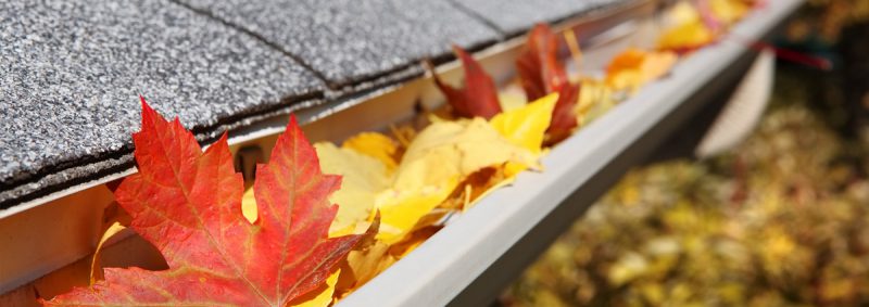 feuilles dans le caniveau